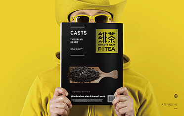 辽阳绯茶品牌设计
